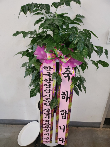 첨부사진
