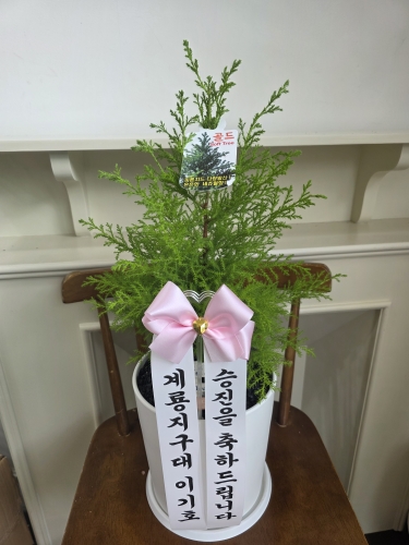 첨부사진