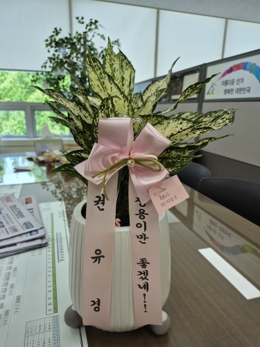 첨부사진