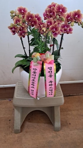 첨부사진