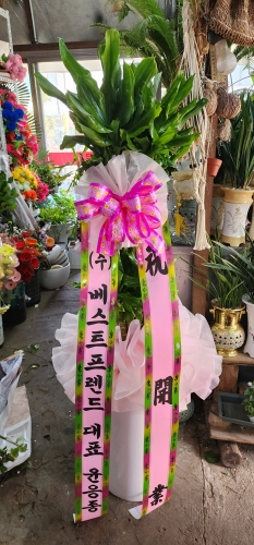 첨부사진