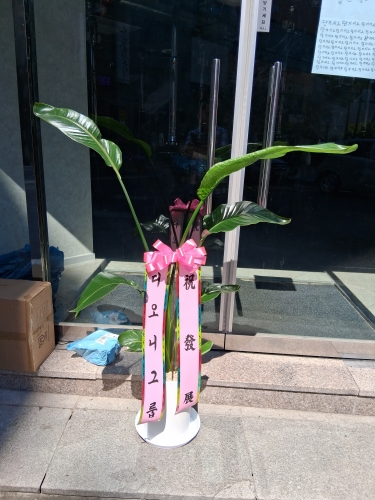 첨부사진