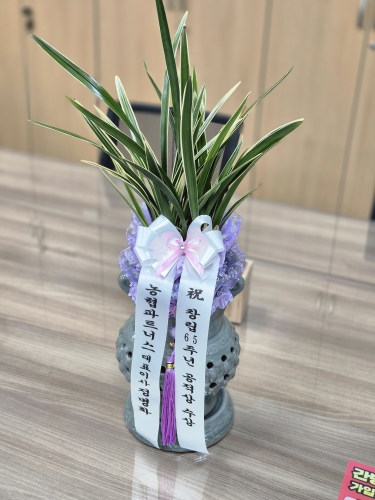 첨부사진