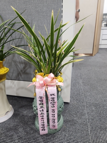 첨부사진